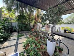 Serangoon Garden Estate (D19), Semi-Detached #562158281
